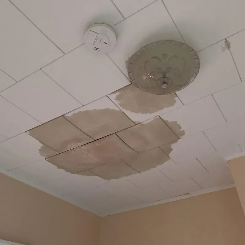 Ceiling Water Damage Repair in Sibley County, MN