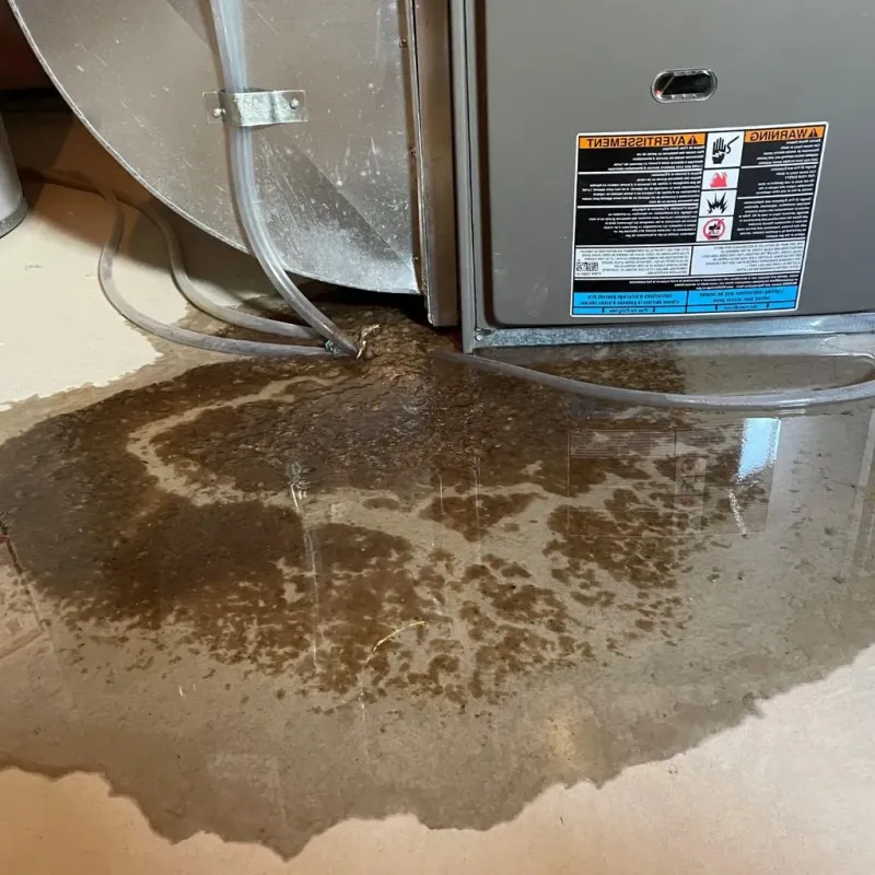 Pipe Burst and Leak Restoration in Sibley County, MN