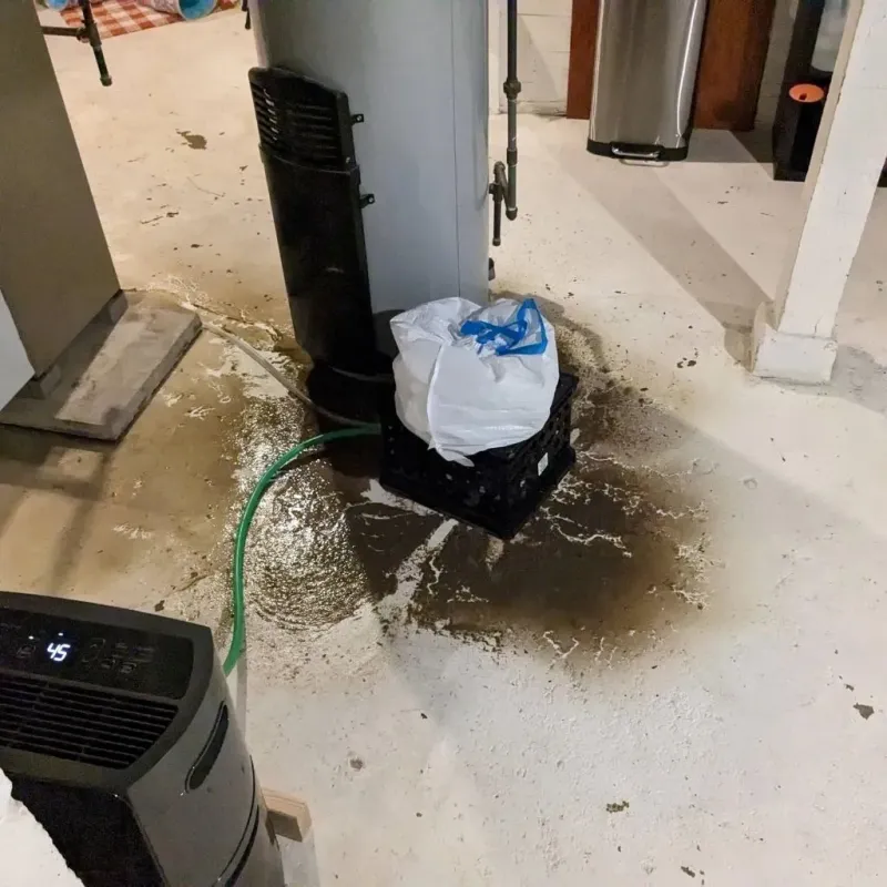 Sewage Backup Cleanup Service in Sibley County, MN